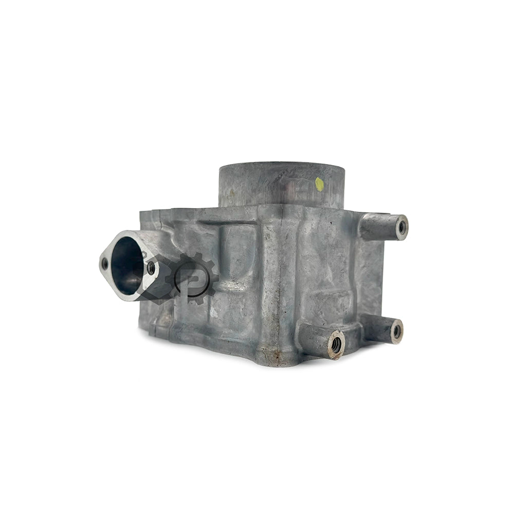 Cylinder Barrel Kit 12100-KZR-600