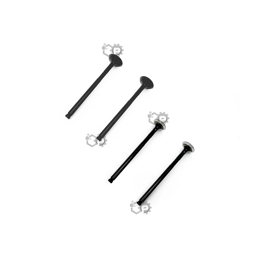 Inlet & Exhaust Valve Set 2DP-E2111-00 , 2DP-E2121-00