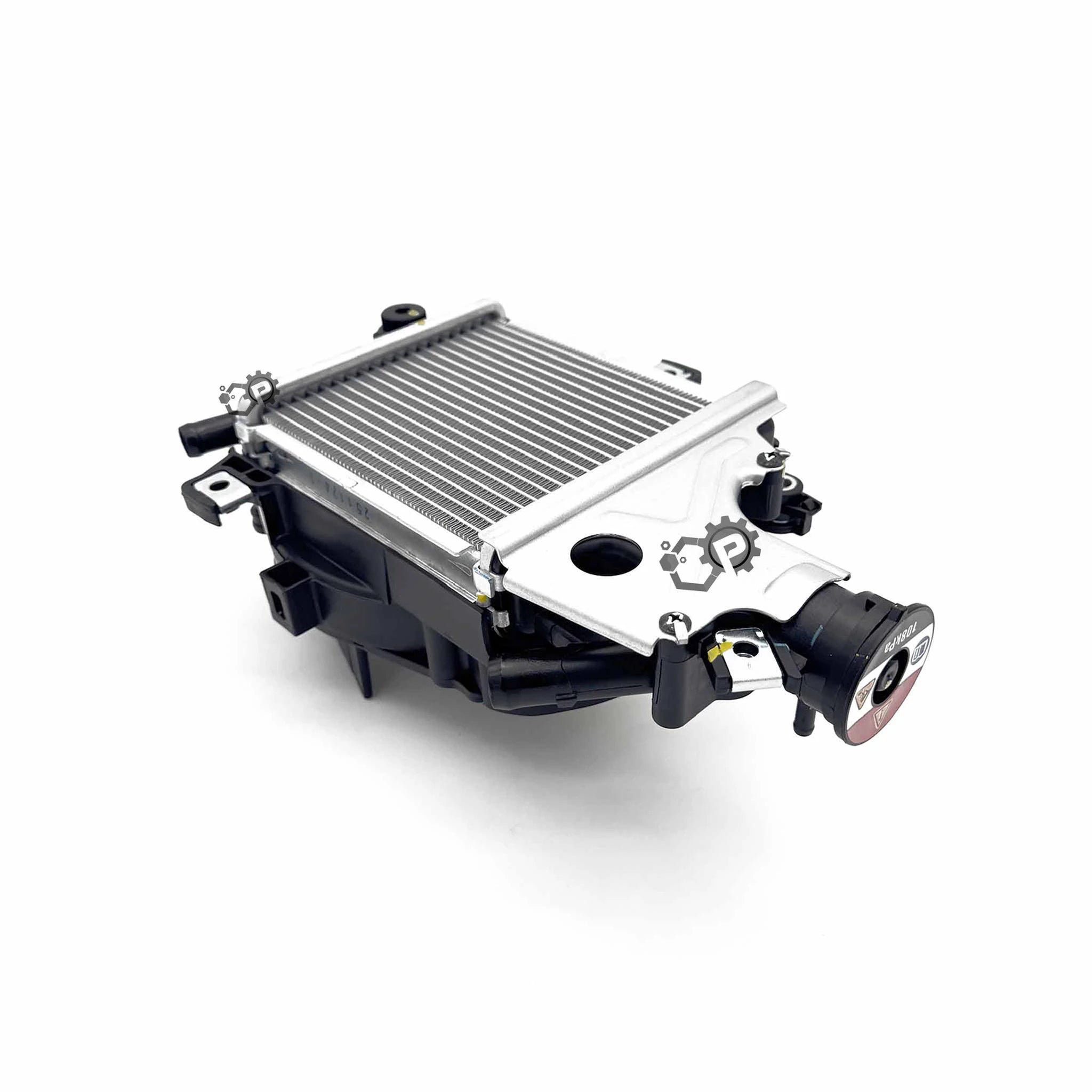 Honda Forza Radiator Assy 19100-K1N-D00 2021-2024