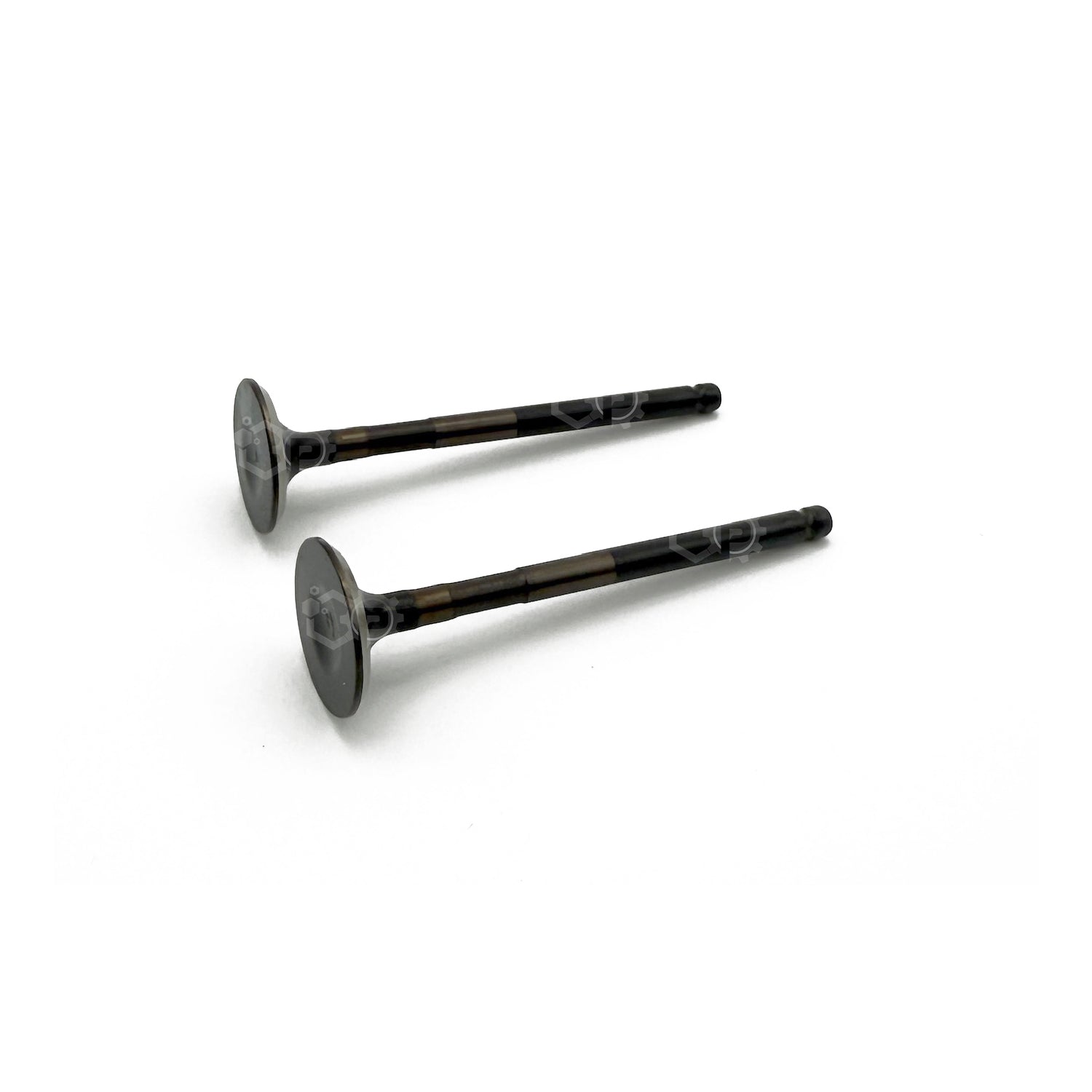 Honda Exhaust Value in pair on white 