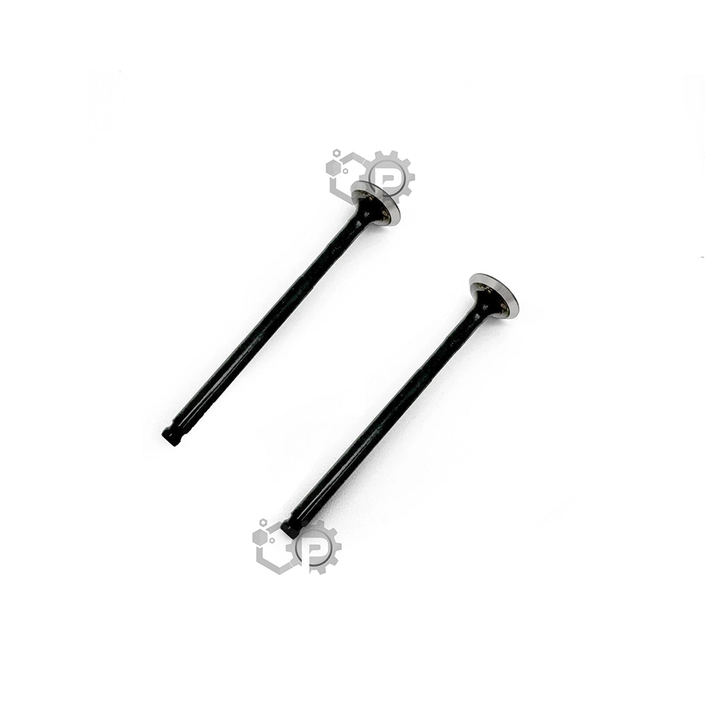 Exhaust Valve x2 Set 2DP-E2121-00