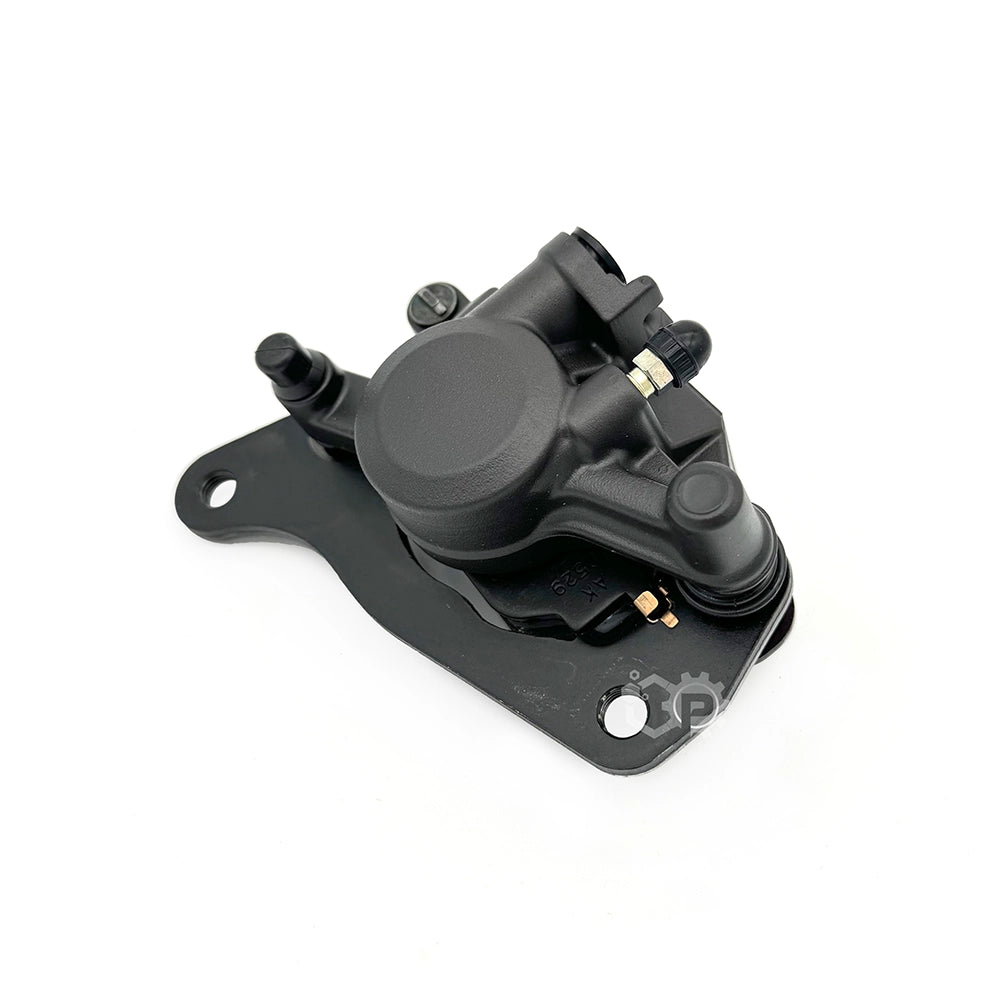 Rear Caliper Assy 2DP-F580W-00