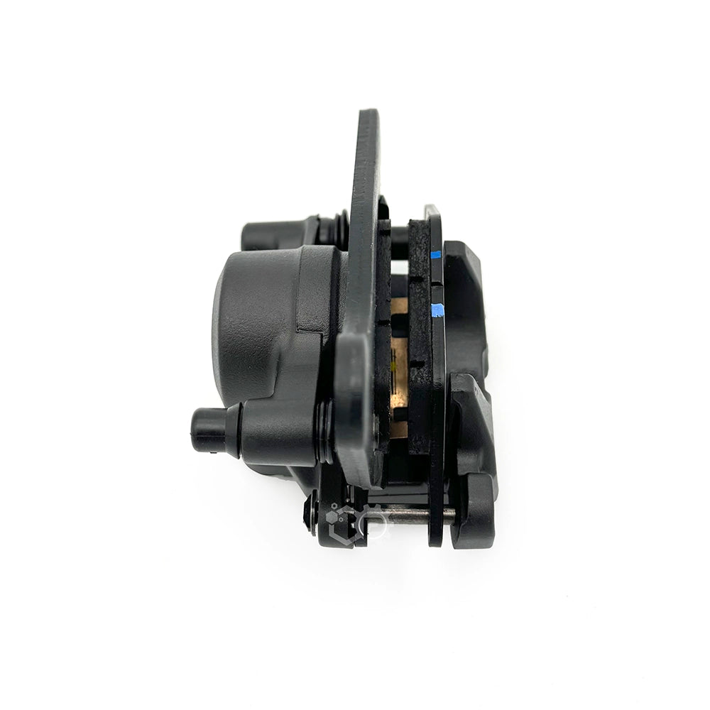 Rear Caliper Assy 2DP-F580W-00