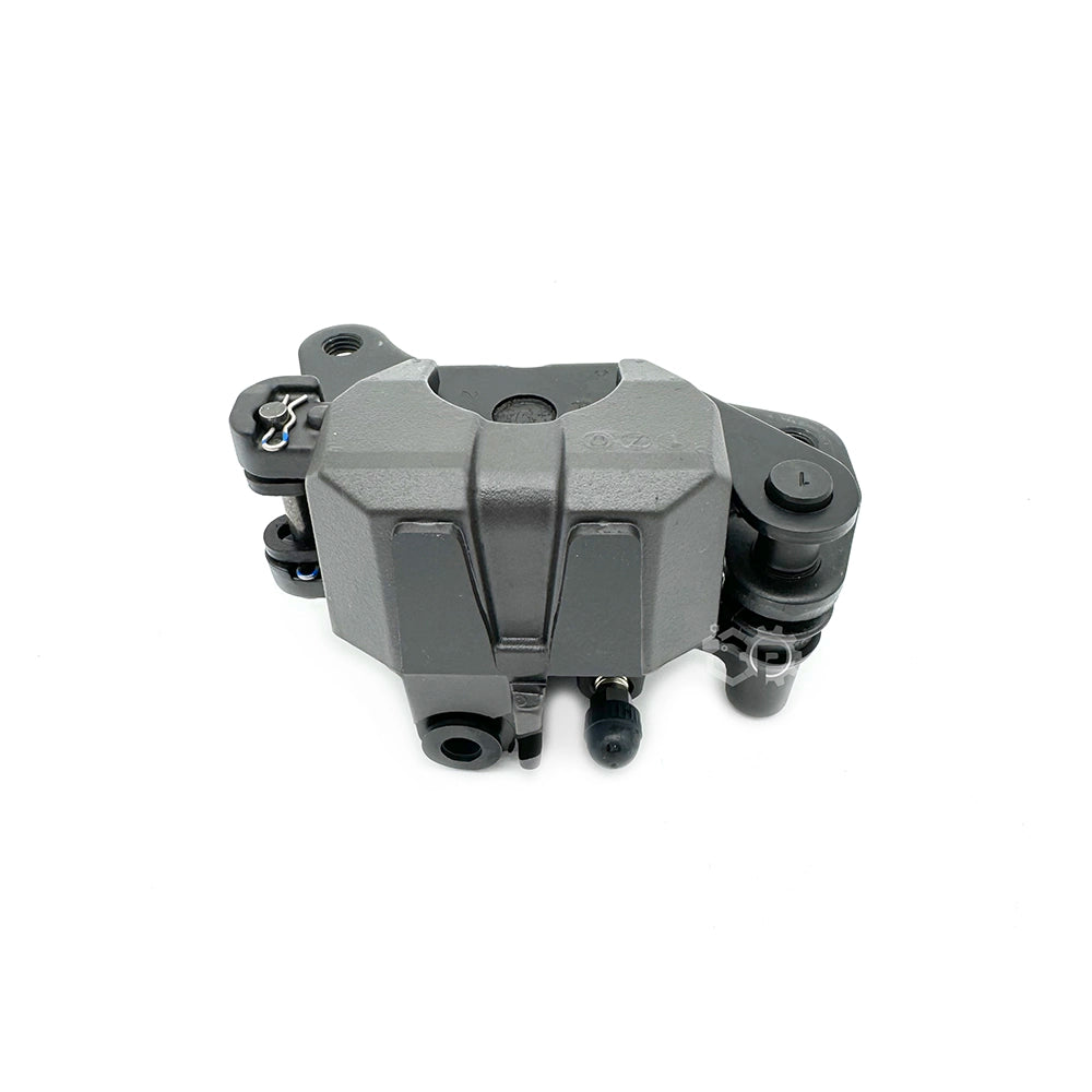 Rear Caliper Assy 2DP-F580W-00
