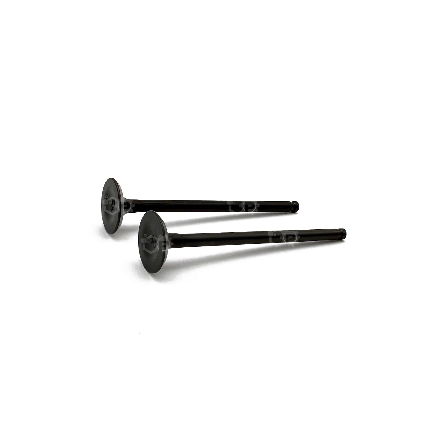 Two black intake valve on a white background