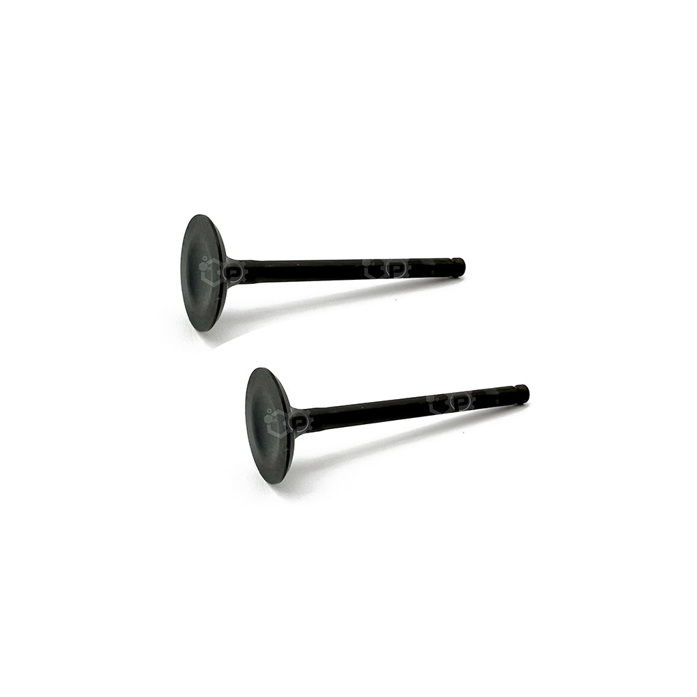 Intake Valve Inlet x2 Set 12911-22J00-000